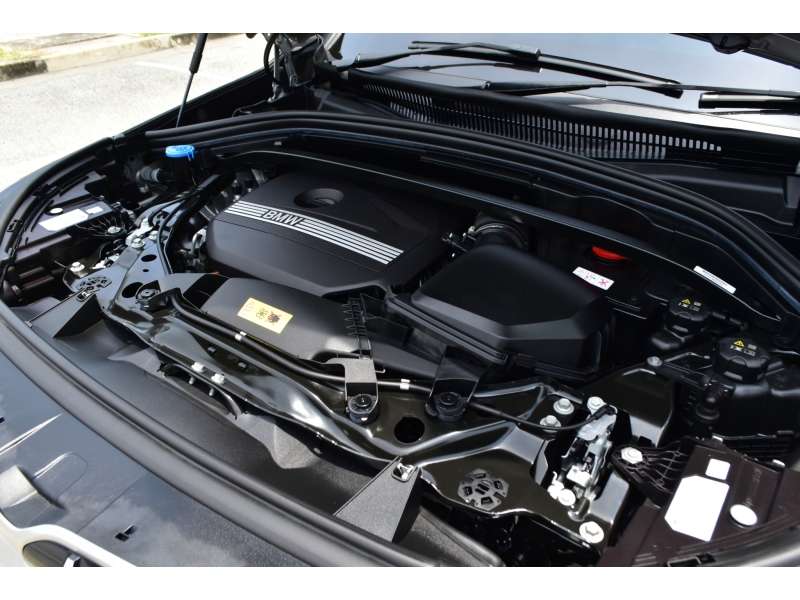 BMW X1 xDrive30e M Sport