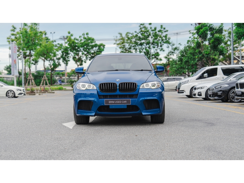 BMW X6 xDrive30d
