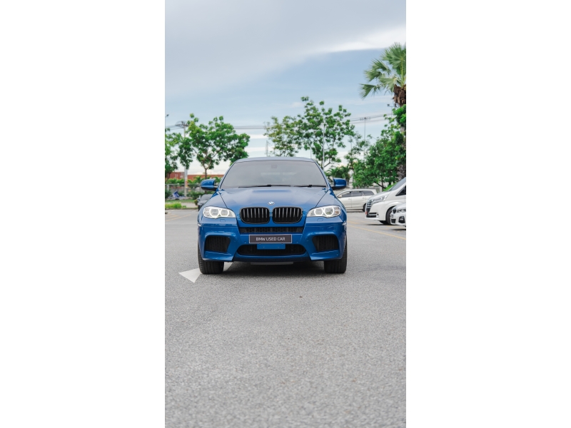 BMW X6 xDrive30d