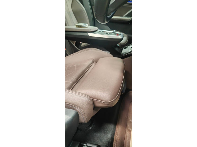 BMW X1 sDrive20i xLine