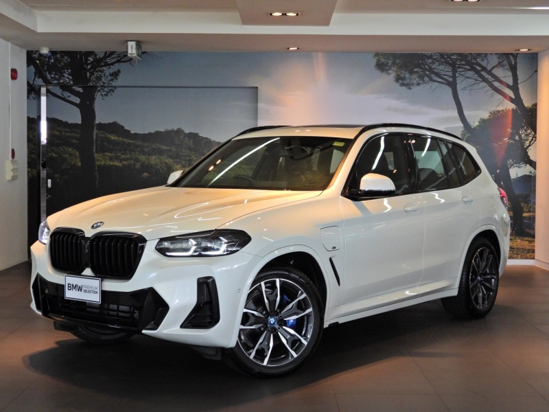 BMW X3 xDrive30e M Sport