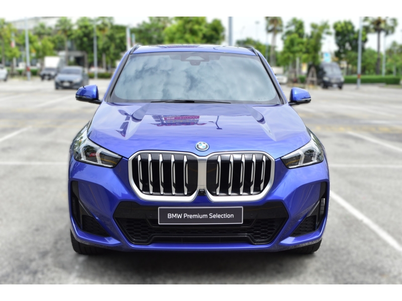 BMW X1 xDrive30e M Sport