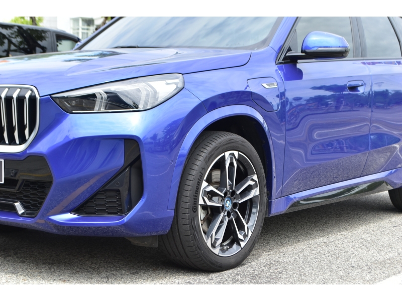 BMW X1 xDrive30e M Sport