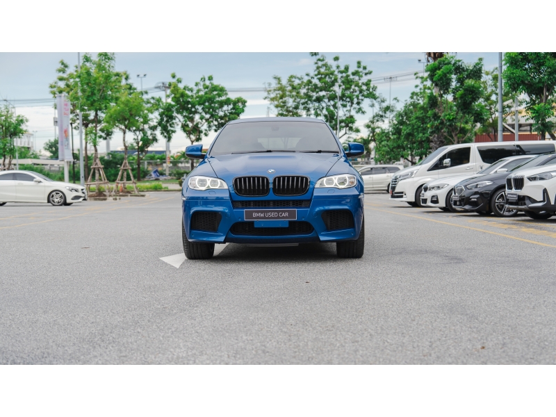 BMW X6 xDrive30d