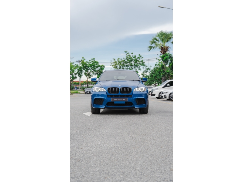 BMW X6 xDrive30d
