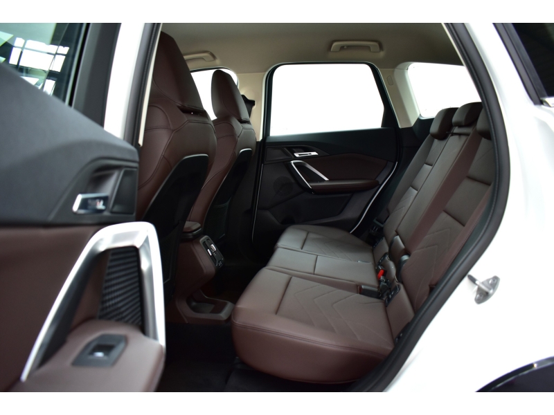 BMW X1 sDrive20i xLine