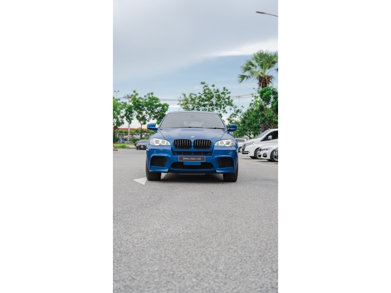 BMW X6 xDrive30d