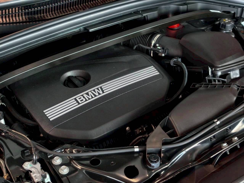 BMW X1 sDrive20i xLine