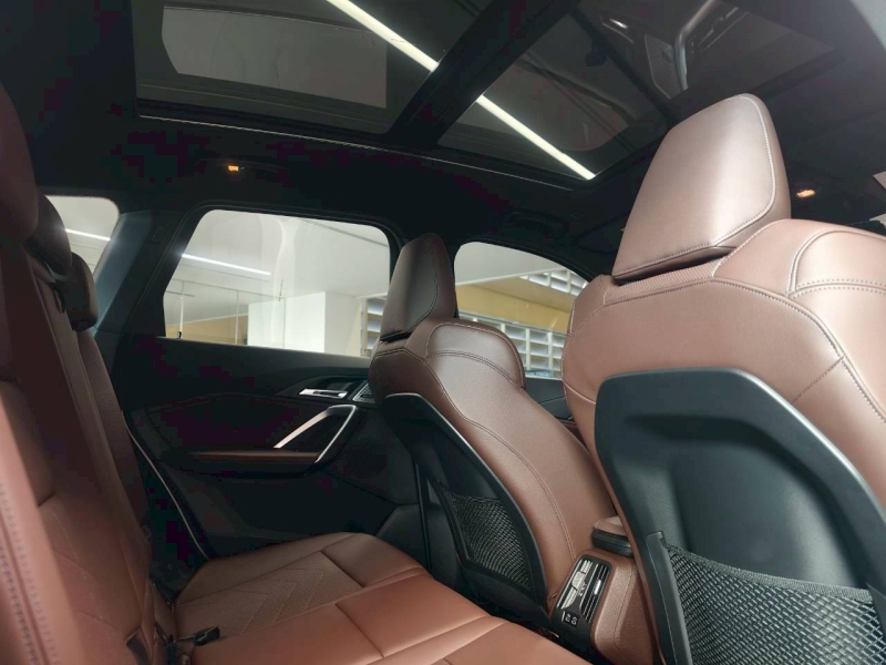 BMW X1 xDrive30e M Sport