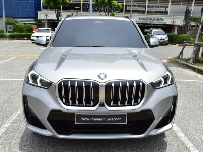 BMW X1 xDrive30e M Sport